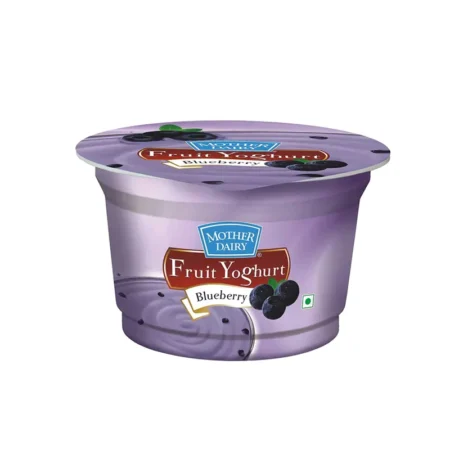 MOTHER DAIRY FRUIT YOGHURT BLUEBERRY 100G