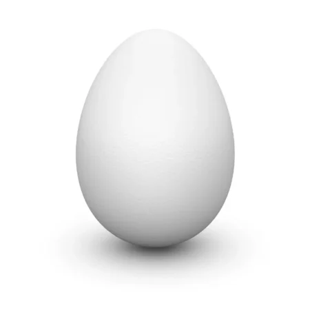 Egg 30N