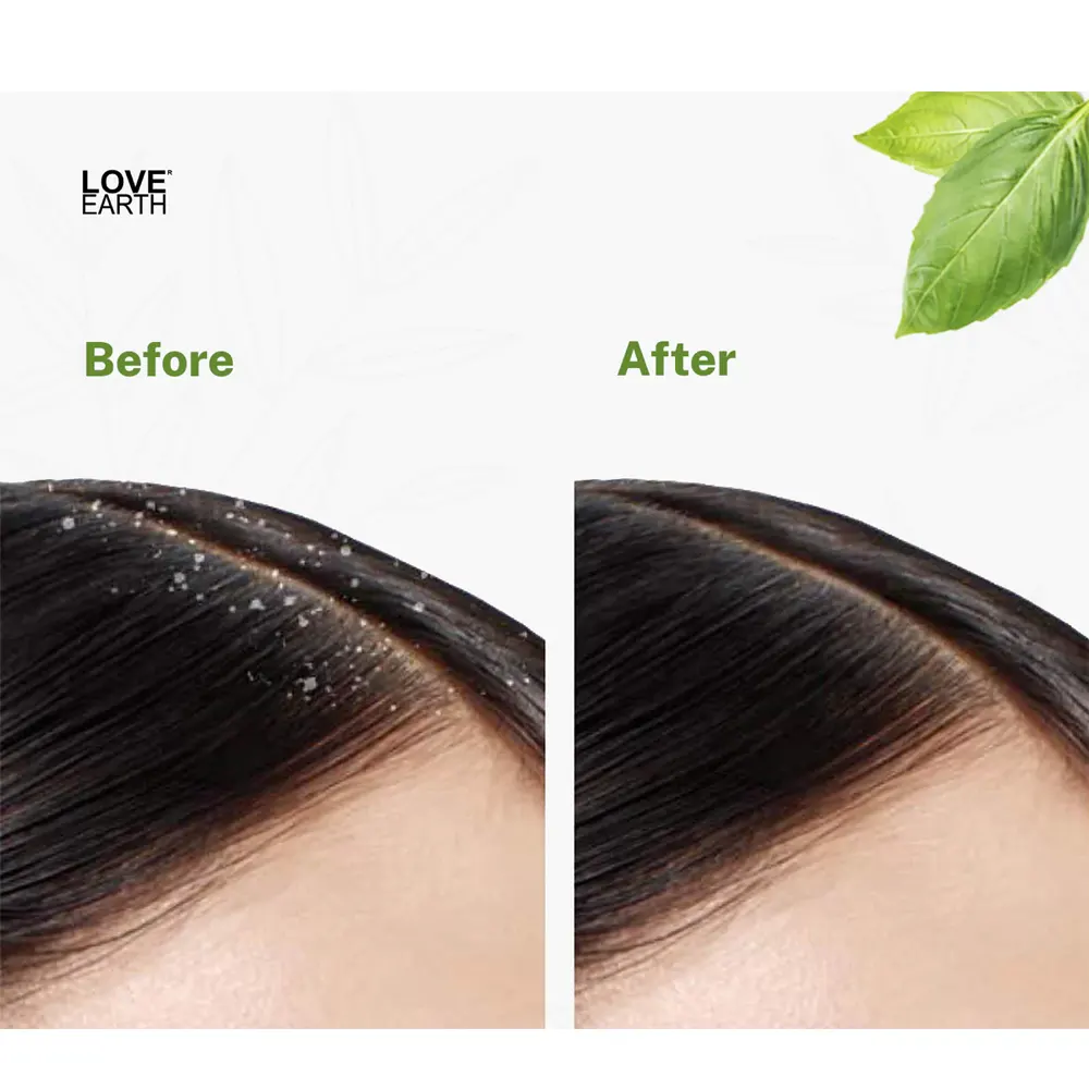 NYLRTH0000038.webp