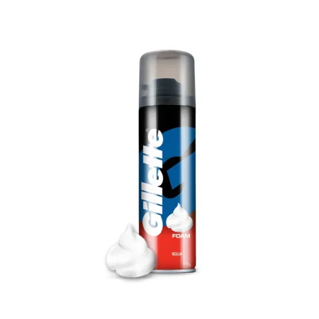 Gillette Foam Regular 196G