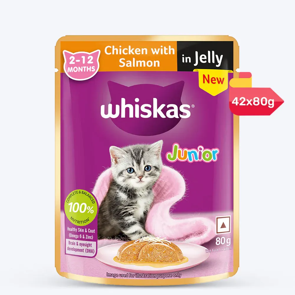 Whiskas Junior 2-12 Months Chicken With Salmon In Jelly 80G
