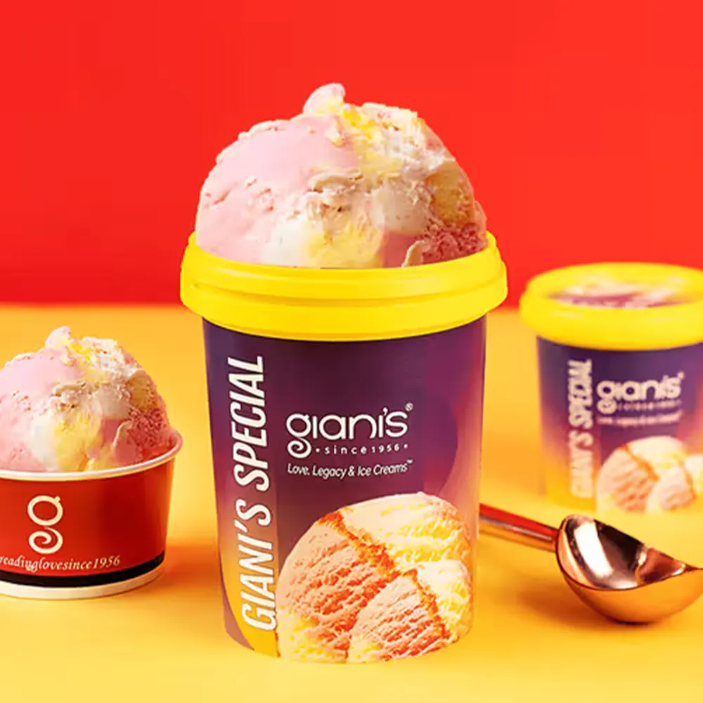 GIANIS ICE CREAM SPECIAL 500ML