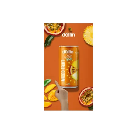 DOLLIN MIXED FRUIT FLAVOUR FRUIT JUICE DRINK WITH PULP 180ML